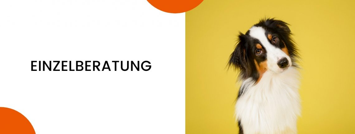 ERSTTERMINE, EINZELTRAINING & BERATUNG